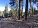 An amazing opportunity! With the amenities of the Lake Almanor for sale in Chester California Plumas County County on GolfHomes.com