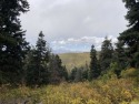 Large, Recreational/cabin lot with tall Pines and Aspens in the for sale in Fairview Utah Sanpete County County on GolfHomes.com