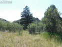  Ad# 5785078 golf course property for sale on GolfHomes.com