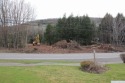 Unique opportunity - one of the LAST lots on South Street! Flat for sale in Windham New York Greene County County on GolfHomes.com