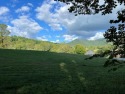 GOLF COURSE LOT IN THE North Carolina MOUNTAINS!! Located in an for sale in Hayesville North Carolina Clay County County on GolfHomes.com