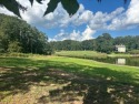  Ad# 6545376 golf course property for sale on GolfHomes.com
