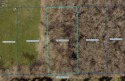 Build your very own vacation getaway in Burgundy Bay on for sale in Middle Bass Ohio Ottawa County County on GolfHomes.com
