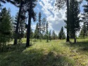 Delightfully unique this  5.33 Acre parcel known as *Pinocchio for sale in Seeley Lake Montana Missoula County County on GolfHomes.com
