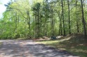 Rare Development Opportunity in StillWaters - 10 Acres | 7 for sale in Dadeville Alabama Tallapoosa County County on GolfHomes.com