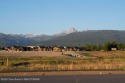 Arguably the finest Teton view lot in the North Fork Estates for sale in Driggs Idaho Teton County County on GolfHomes.com
