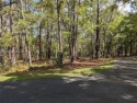 Melrose Resort on Daufuskie Island!  Lovely, .48acre Resort lot for sale in Daufuskie Island South Carolina Beaufort County County on GolfHomes.com