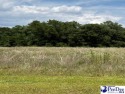 Great lot on Governor's Run Golf Course.  Growing area very for sale in Lamar South Carolina Darlington County County on GolfHomes.com