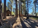 Exceptional opportunity to own a large, level parcel just two for sale in Kings Beach California Placer County County on GolfHomes.com