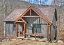 Exceptional 'turn-key' short-term-rental property located in for sale in Townsend Tennessee Blount County County on GolfHomes.com