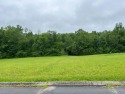 Welcome to the Eagle Trace Subdivision. Just off Highway 27 and for sale in Dayton Tennessee Rhea County County on GolfHomes.com