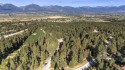 This parcel presents an incredible opportunity to build your for sale in Hamilton Montana Ravalli County County on GolfHomes.com