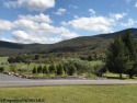 A lovely and easy to build upon lot overlooking Canaan Valley for sale in Davis West Virginia Tucker County County on GolfHomes.com