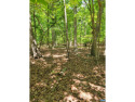 Desirable, private building lot in Lake Monticello. This flat for sale in Palmyra Virginia Fluvanna County County on GolfHomes.com