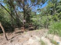 Opportunity Awaits!! The roads are now PAVED!!! Don't miss you for sale in Bastrop Texas Bastrop County County on GolfHomes.com