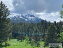 Easy access building lot with magnificent view of Mt Sawtell for sale in Island Park Idaho Fremont County County on GolfHomes.com