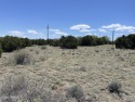 0.34 acre on Dawn Lane in Concho Valley. 
Paved roads
This lot for sale in Concho Arizona Apache County County on GolfHomes.com