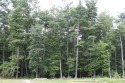  Ad# 5940658 golf course property for sale on GolfHomes.com