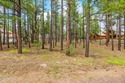 Your dream mountain retreat starts right here. This is one of for sale in Flagstaff Arizona Coconino County County on GolfHomes.com