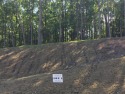 Build Your Dream Home On This Fabulous .82 Acre Lot 3 in The for sale in Roanoke Virginia Roanoke County County on GolfHomes.com