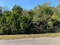 Build your new home on a quarter acre flat lot close to the New, Texas