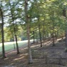  Ad# 6582610 golf course property for sale on GolfHomes.com