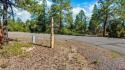  Ad# 6294461 golf course property for sale on GolfHomes.com
