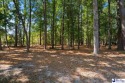 Beautifully wooded .65-acre lot with views of the #11 Par 5 for sale in Florence South Carolina Florence County County on GolfHomes.com