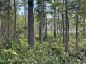 Ad# 5123451 golf course property for sale on GolfHomes.com