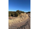 Imagine owning a piece of land where you can build your dream for sale in White Mountain Lake Arizona Navajo County County on GolfHomes.com