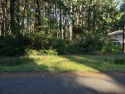 Excellent opportunity! Spacious, level (and dry) .24-acre lot for sale in Anderson Island Washington Pierce County County on GolfHomes.com
