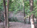 Beautiful, wooded lot with view of the golf course. Located in for sale in Godfrey Illinois Jersey County County on GolfHomes.com