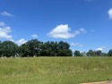 Beautiful Lot Located Right on The Southern Hills Golf Course for sale in Hawkinsville Georgia Pulaski County County on GolfHomes.com