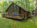 Welcome to 'The Lofty Laurel', a delightful CHALET nestled in for sale in Terra Alta West Virginia Preston County County on GolfHomes.com