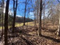 This is currently listed as two separate lots in Stillwaters for sale in Dadeville Alabama Tallapoosa County County on GolfHomes.com
