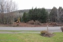 Unique opportunity - one of the LAST lots on South Street! Flat for sale in Windham New York Greene County County on GolfHomes.com