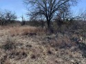 Great opportunity for building your home in Kingsland, Texas! for sale in Kingsland Texas Llano County County on GolfHomes.com