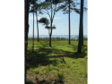 Welcome to 86 Martinangel Lane - a prime .55-acre homesite for sale in Daufuskie Island South Carolina Beaufort County County on GolfHomes.com