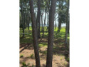  Ad# 6414054 golf course property for sale on GolfHomes.com