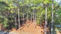 Set within the desirable Belfair golf community, this expansive for sale in Bluffton South Carolina Beaufort County County on GolfHomes.com