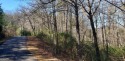 PRIVATE nearly end of road 1 Acre long lot just before for sale in Helen Georgia White County County on GolfHomes.com