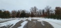 25 Acres of a mix of low and high ground with ponds trees and for sale in Oak Grove Minnesota Anoka County County on GolfHomes.com