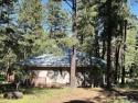 Discover the charm of this one-of-a-kind octagon home, perfectly for sale in Rociada New Mexico San Miguel County County on GolfHomes.com
