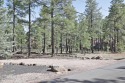  Ad# 6061855 golf course property for sale on GolfHomes.com