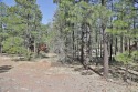  Ad# 6061855 golf course property for sale on GolfHomes.com