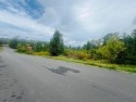 Fountain Springs Golf Course is home to two picturesque lots for sale in Peterstown West Virginia Monroe County County on GolfHomes.com