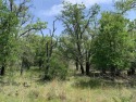Great opportunity for building your home in Kingsland, Texas! for sale in Kingsland Texas Llano County County on GolfHomes.com