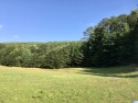 This lot has a nice building site with a view overlooking the for sale in Oneonta Alabama Blount County County on GolfHomes.com