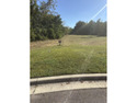 Last Available .78-Acre Lot in the Prestigious Gated Golf for sale in Sorrento Florida Lake County County on GolfHomes.com
