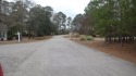 Nice golf course lot facing the 18th hole in Chapel Creek for sale in Santee Cooper South Carolina Orangeburg County County on GolfHomes.com